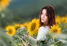 岁月茶香：黄茶护肝，养生茶饮中的珍品